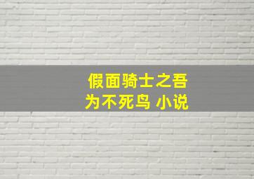 假面骑士之吾为不死鸟 小说